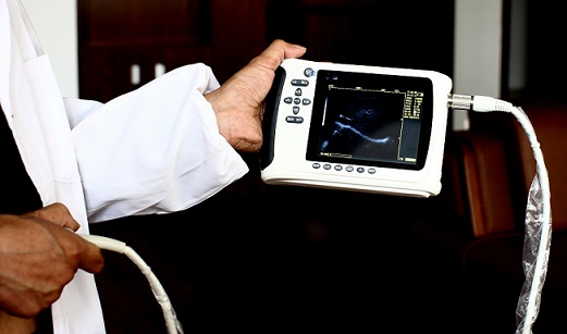 Portable Diagnostic Device MArket